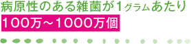 病原性のある雑菌が1グラムあたり100万~1000万個 …