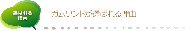 ガムワンドが選ばれる理由